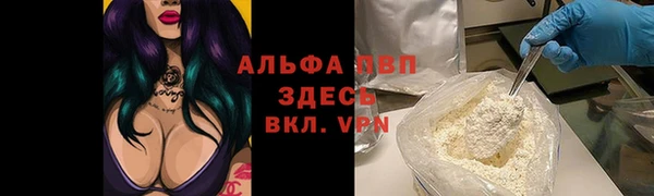 спиды Аркадак