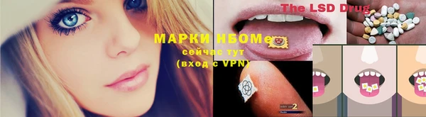ГАЛЛЮЦИНОГЕННЫЕ ГРИБЫ Арсеньев