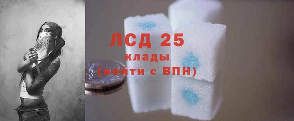 ГАЛЛЮЦИНОГЕННЫЕ ГРИБЫ Арсеньев