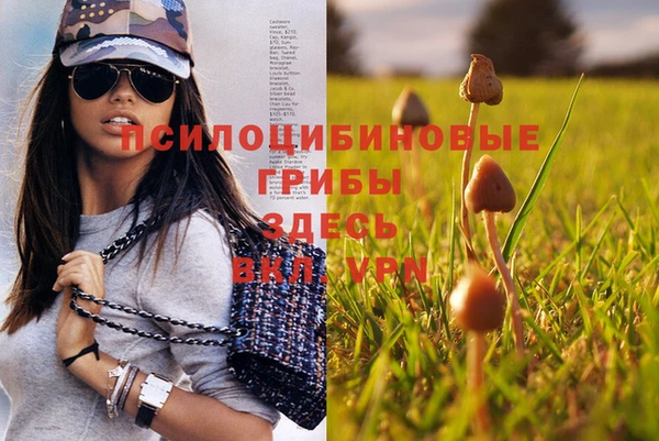 ГАЛЛЮЦИНОГЕННЫЕ ГРИБЫ Арсеньев