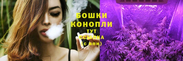 ГАЛЛЮЦИНОГЕННЫЕ ГРИБЫ Арсеньев