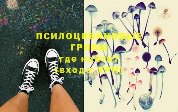 спиды Аркадак
