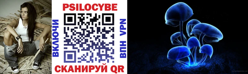 omg   Усть-Джегута  Псилоцибиновые грибы GOLDEN TEACHER 