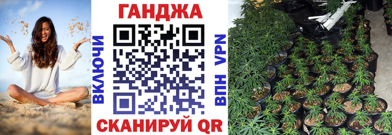 сколько стоит  Усть-Джегута  Шишки марихуана Ganja 